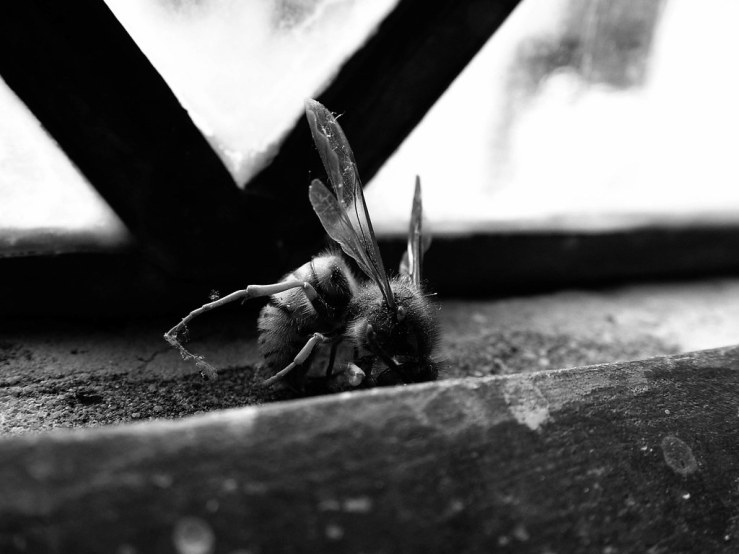 48087107366_e4fc0ab501_b