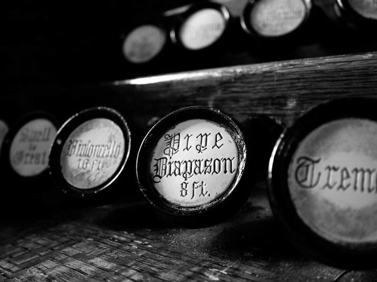 48087144838_59bc17c9d8_b