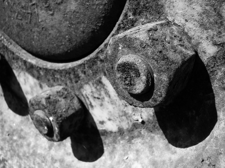 48098535951_4481b5a0cc_b