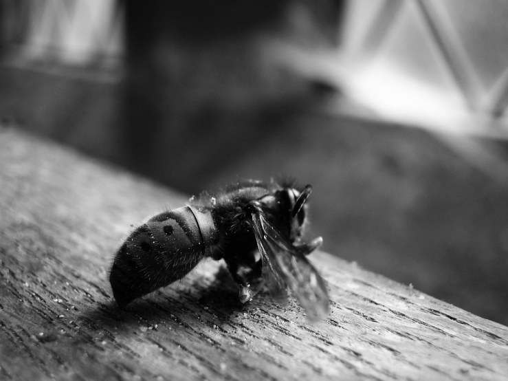 48098630987_2ecbc5d607_b