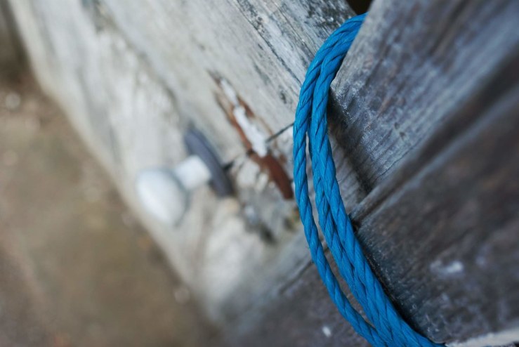 48138732348_028a49c7b2_b