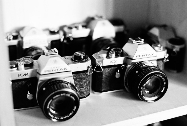 48144728892_32df467cc5_b