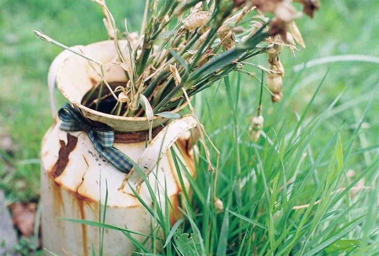 27572145322_70beb7a5b1_b