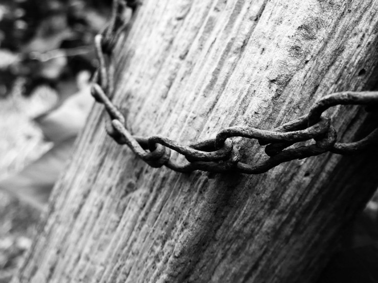 47390132722_9438496784_b