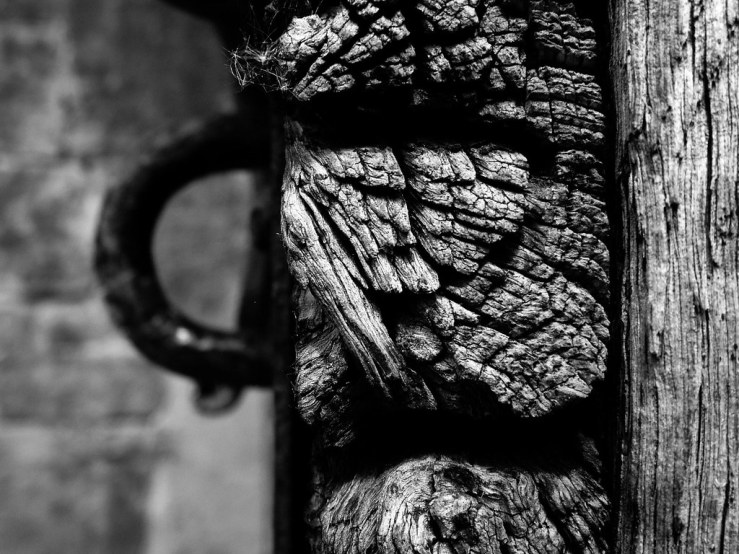 47953605603_6c38bab759_b