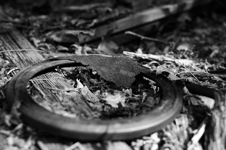 48234683972_12fb64fc28_b