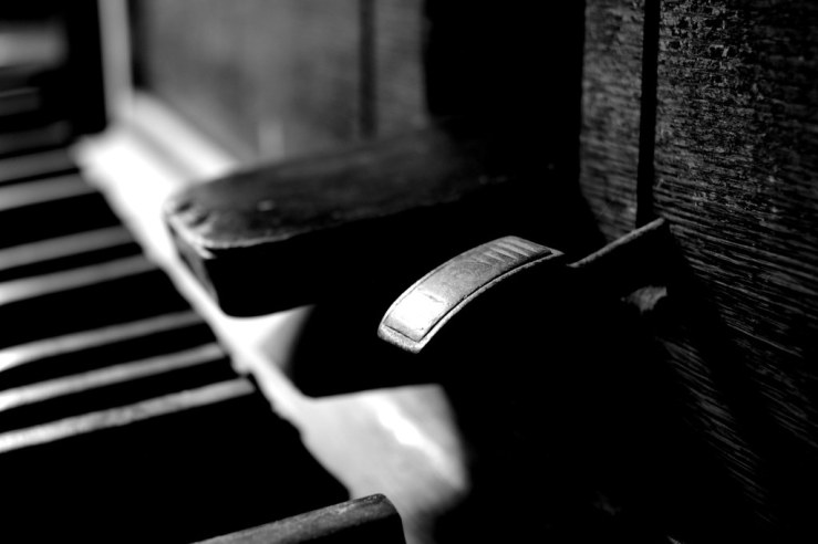 48251738011_c4ba812b48_b