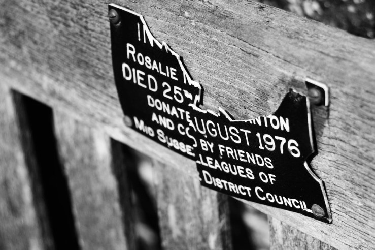 48266252076_df32782611_b