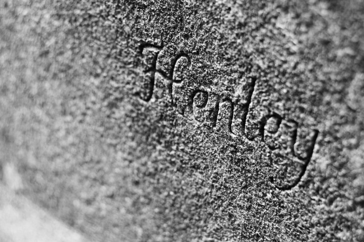 48266255636_6f36b4e7bd_b