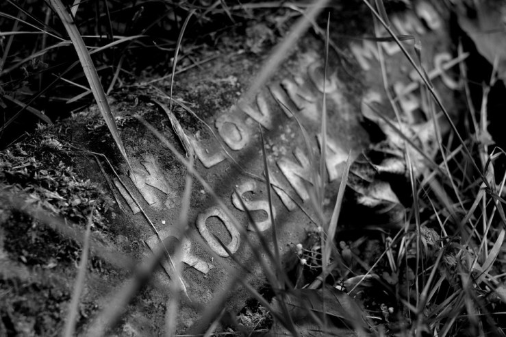 48323209061_5db2a77d30_b