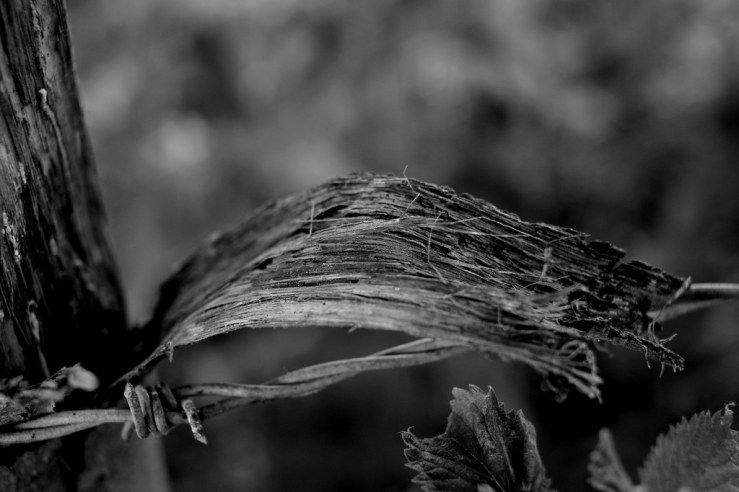 48323264536_bf2f036159_b