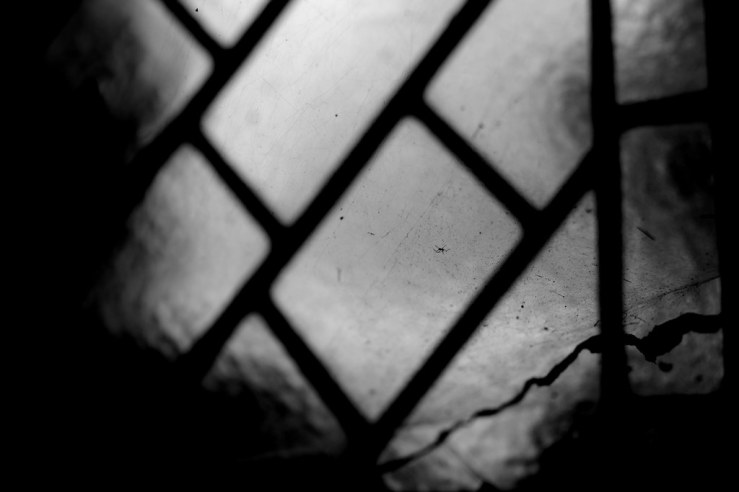 48359699247_b8e702aa7c_b