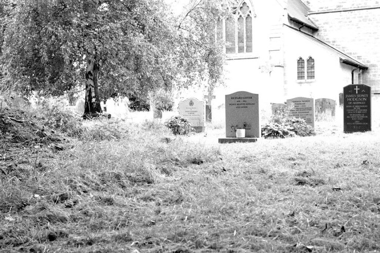 48381020076_effdffd68e_b