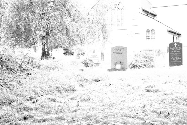 48381029766_1c7eac02cb_b