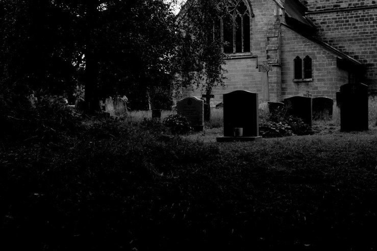 48381136897_40e4154876_b