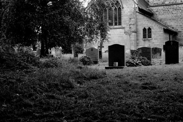 48381141857_ca6635d6b9_b