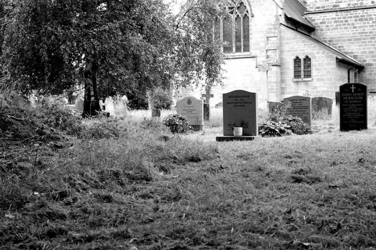 48381150122_e96ee682ca_b