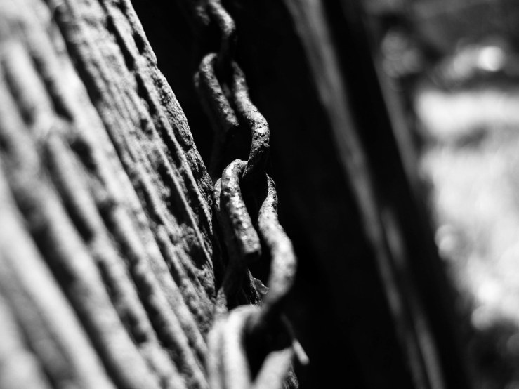 SAMSUNG DIGITAL CAMERA