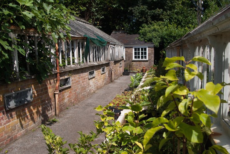 35640388053_9bdbfa0f56_b