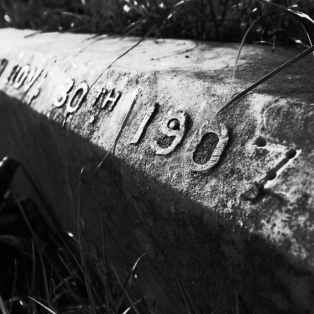 38516660281_474ccb1137_z