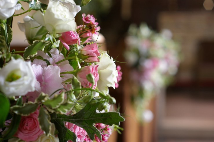 48466109446_ae661bb0f9_b