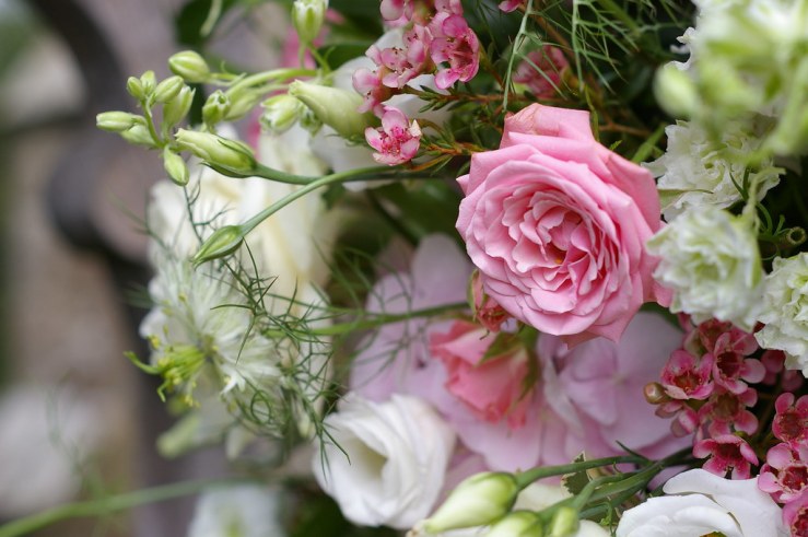 48466109961_5d4ca48878_b