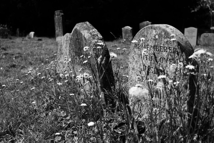 48488660791_b760fe8c60_b