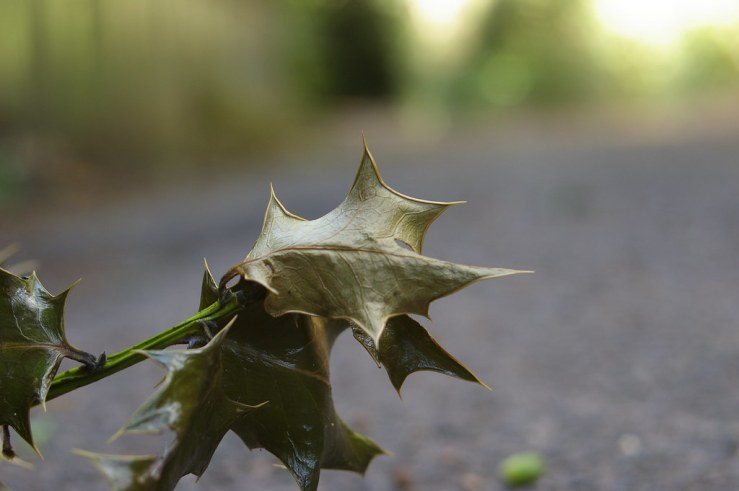 48496367401_a589fe5337_b