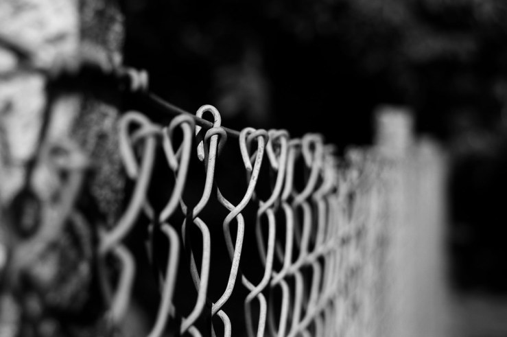 48496922796_947b7e81bb_b