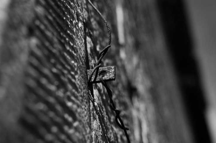 48496926471_b5ebe6aed7_b