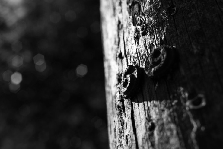 48497280312_9d69d4aec3_b