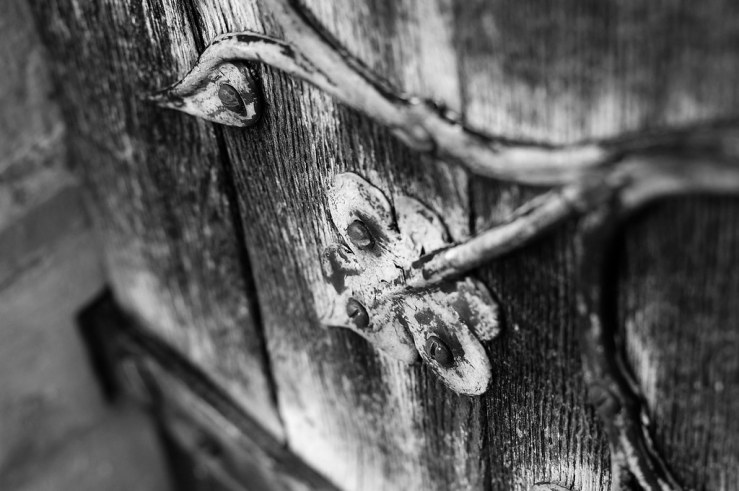 48552407922_e92fa1b4b4_b-1