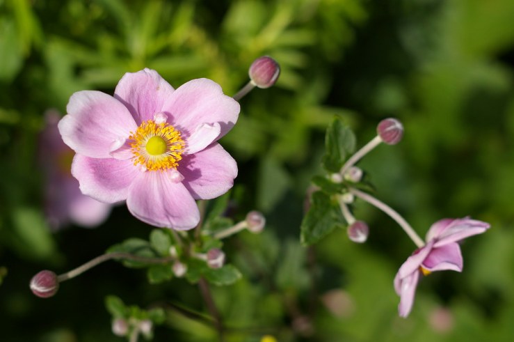 48600747167_216dbdd33b_b