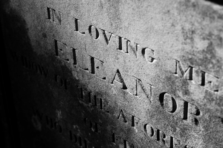 48601108627_fa5341dd96_b