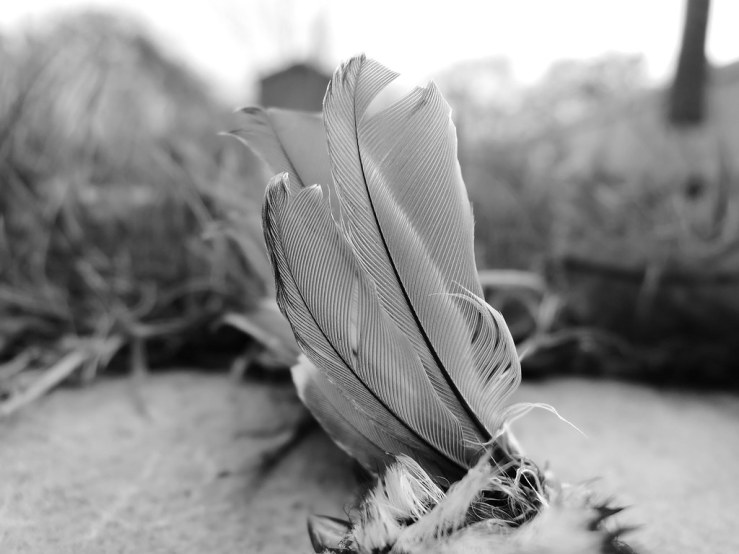 6350554352_455ee113f0_b