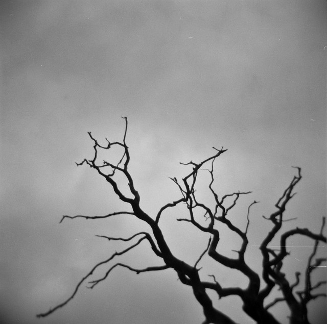 Autosave-File vom d-lab2/3 der AgfaPhoto GmbH