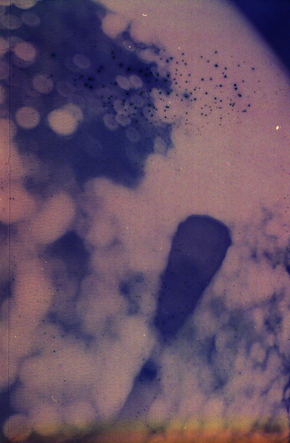 10561842833_3a1fb74d23_z