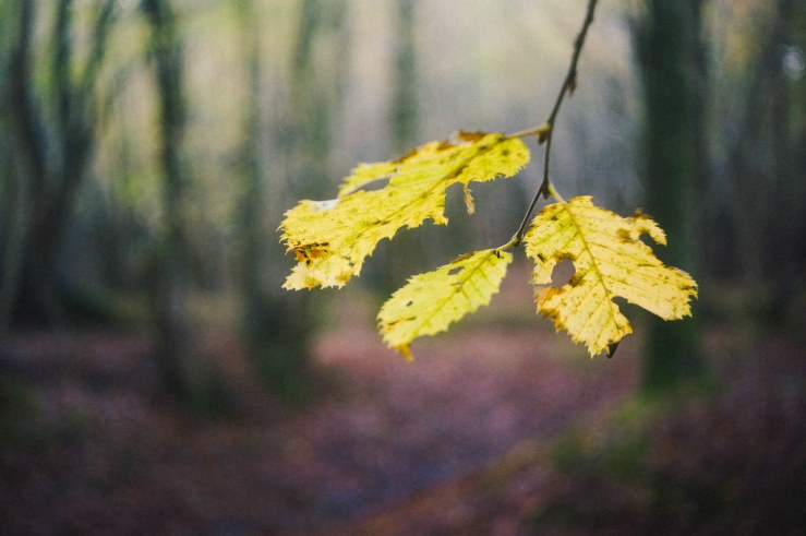 15609314998_3c9413efe7_b