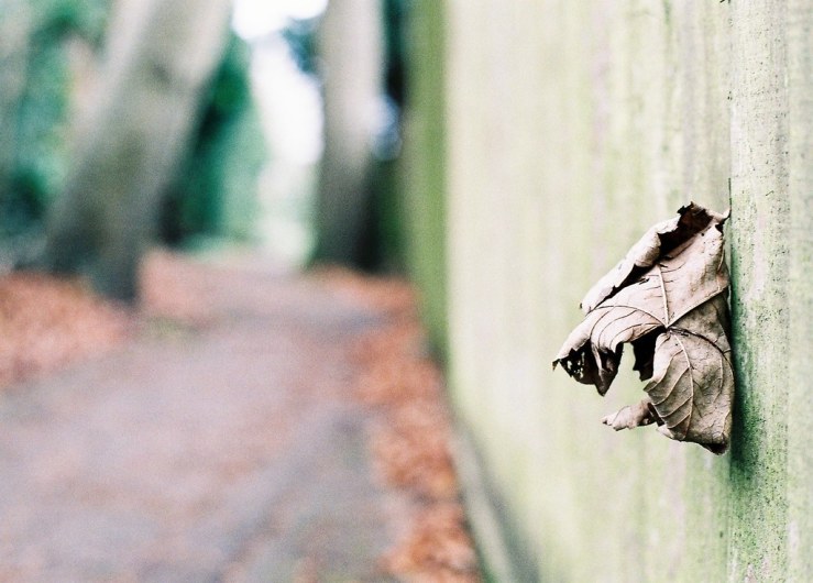 15981235576_f98be5b214_b