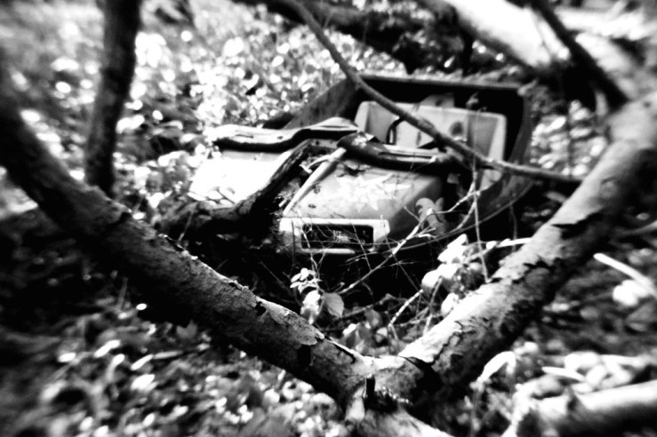 25211771537_fc91b90f2b_b