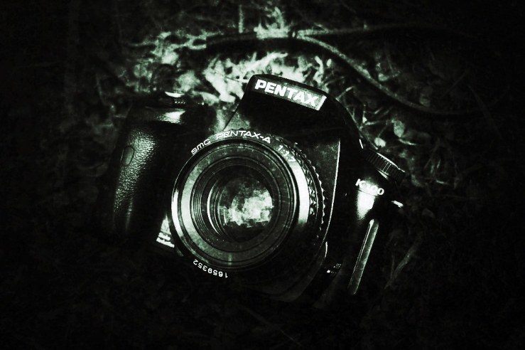 48843065037_b24ac472c5_b