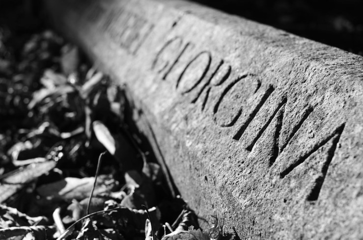 48860952246_6232812a7a_b