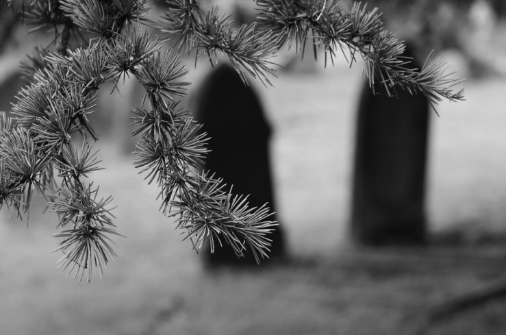 48860952501_51c0914f9e_b