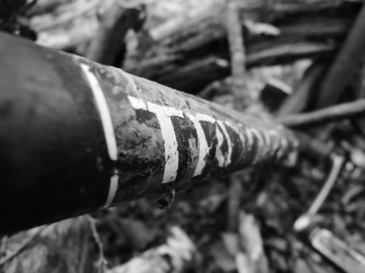 6817313031_0cce69ed8b_b