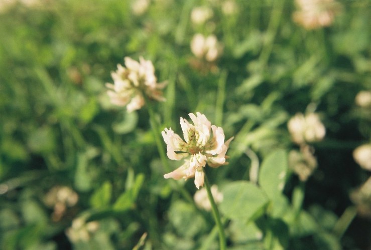 7592559320_031be33f67_b