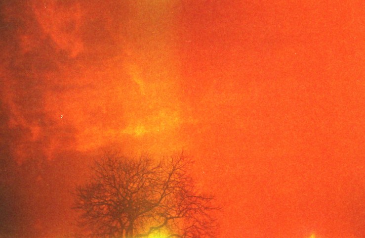 8255467060_f9b9c1bd2d_b