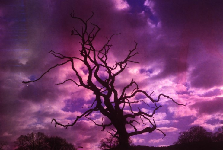 8534372689_2d3b670f28_b