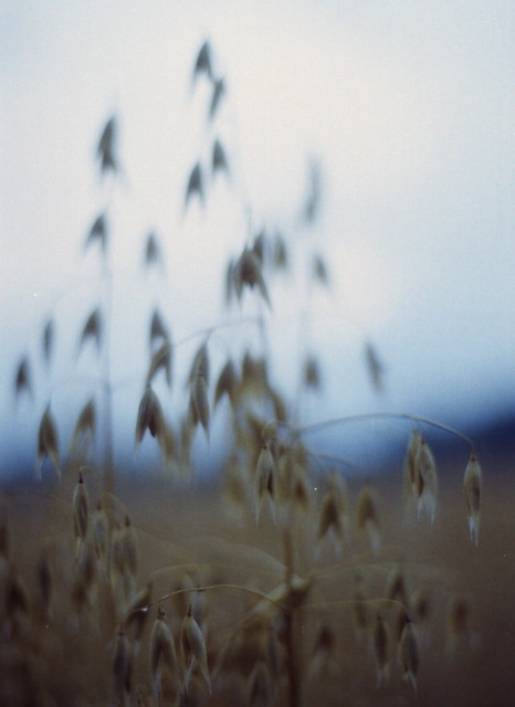 9489465556_12ce819554_z