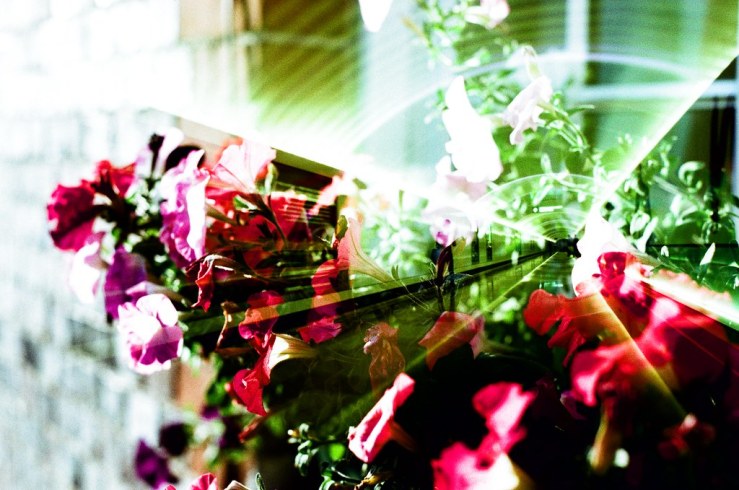 9730715981_ae23545b60_b