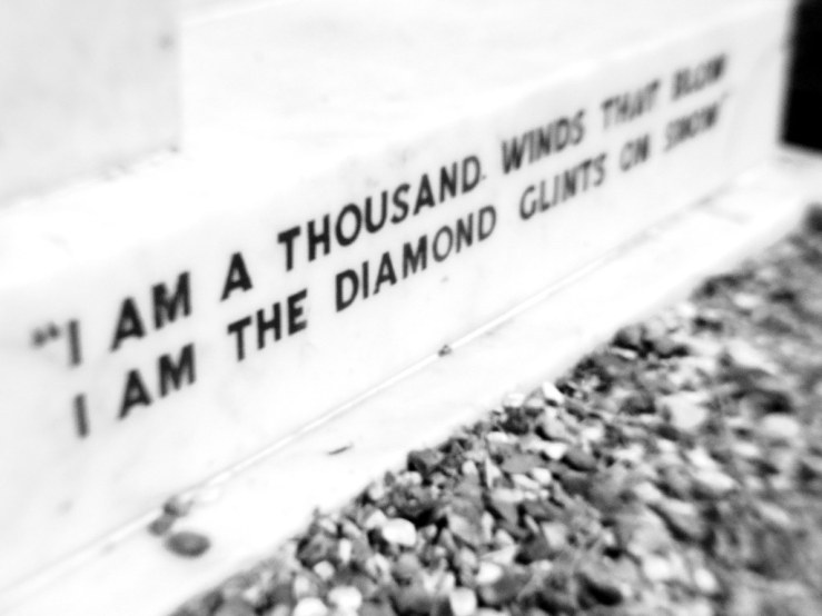 42904677271_3d42b9d4e7_b